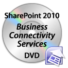 4 Business Connectivity Services