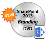 dvd_icon_branding2013new-18